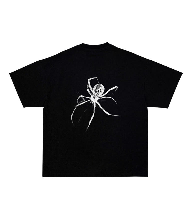 SPIDER INVASION